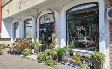 Floraria Eden Boutique-ul cu Flori Piatra Neamt