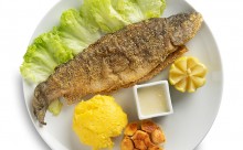 Catering Vaslui