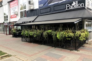 Papillon