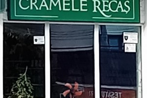 Cramele Recaș