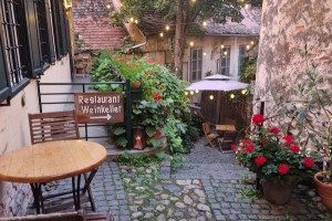 Pivnita de vinuri Weinkeller