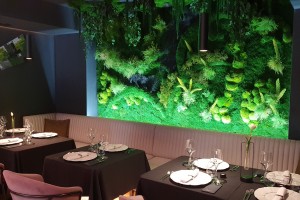 Beyond Restaurant