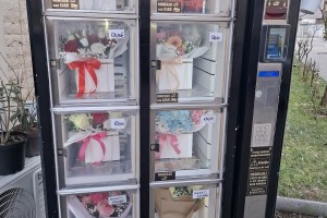 Floraria L&A Flowers and Events