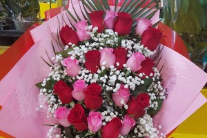 Floraria Vera