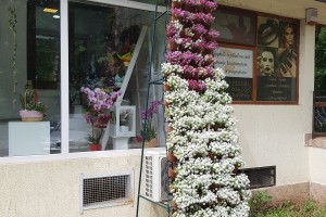 FLORARIA VOWS