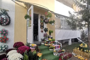 Floraria Flamingó viragüzlet
