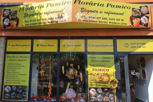 Floraria Pamico Târgu Jiu