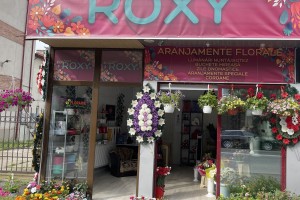 Florăria roxy