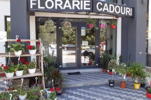 Florarie cu Stil