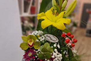 Garden flowers & Surprises Shop Virágüzlet