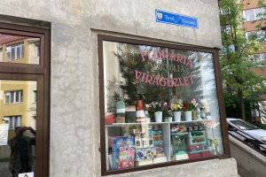 Magnolia virágüzlet