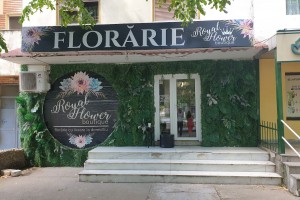 Royal Flower - Florarie cu livrare la domiciliu