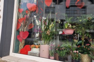 Sophie's Flowers