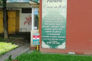 Casa Cu Flori - Florarie