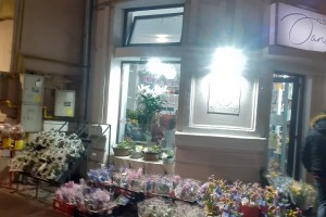 Floraria Oana