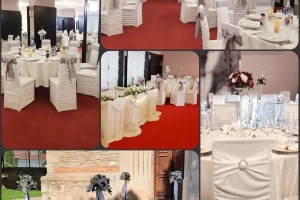 Dariana Decor