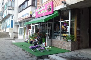 Floraria Ioana
