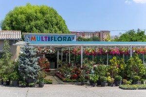 MULTIFLORA S.R.L.