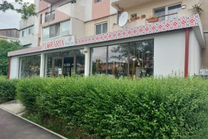 Floraria Petruta Focsani