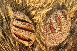 Aurora Bakery