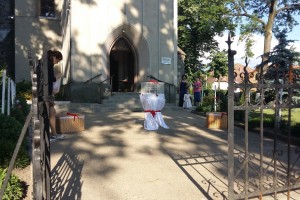 Porumbei Albi Nunți SATU MARE