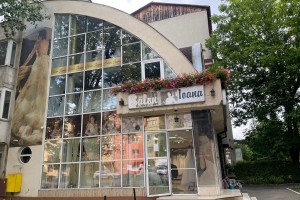 Salon Ioana - Rochii de Mireasă Bistrița