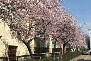 Pensiune Restaurant Avangarde | cazare Pitești