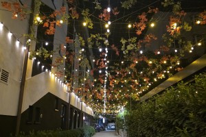 Hotel Anna