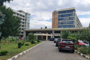 Hotel Lebăda