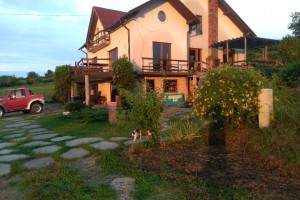Vis Pension