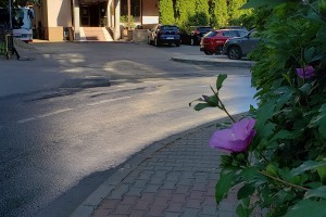 Hotel Vaslui