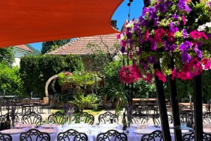 OAZIS PHILIA – Restaurant Baia Mare