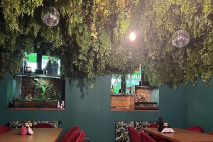 The Jungle
