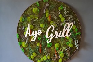 Ayo Grill
