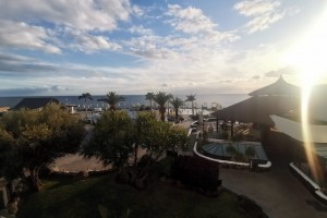 Palms Travel