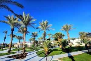Elina Travel