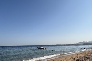 Savi Travel