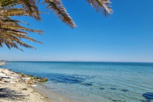 VACANŢA DE VIS - AGENTIA TA DE TURISM S.R.L.