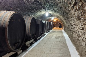 Crama Țelna