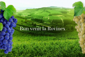 Rovinex