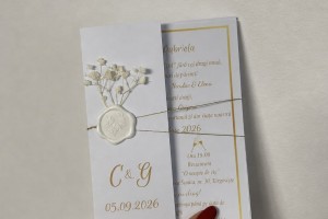 Wedding.needs.tr