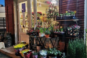 Aleyna Flower Shop