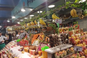 CASA BRANCOVEANU LIVRARI