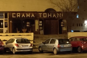 Crama Tohani Constanta - Vinuri de creatie