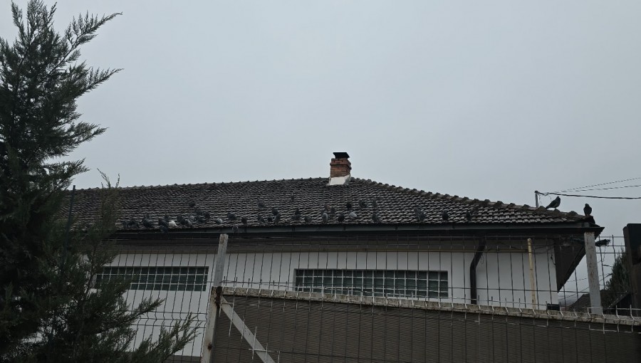 Photo Thumbnail